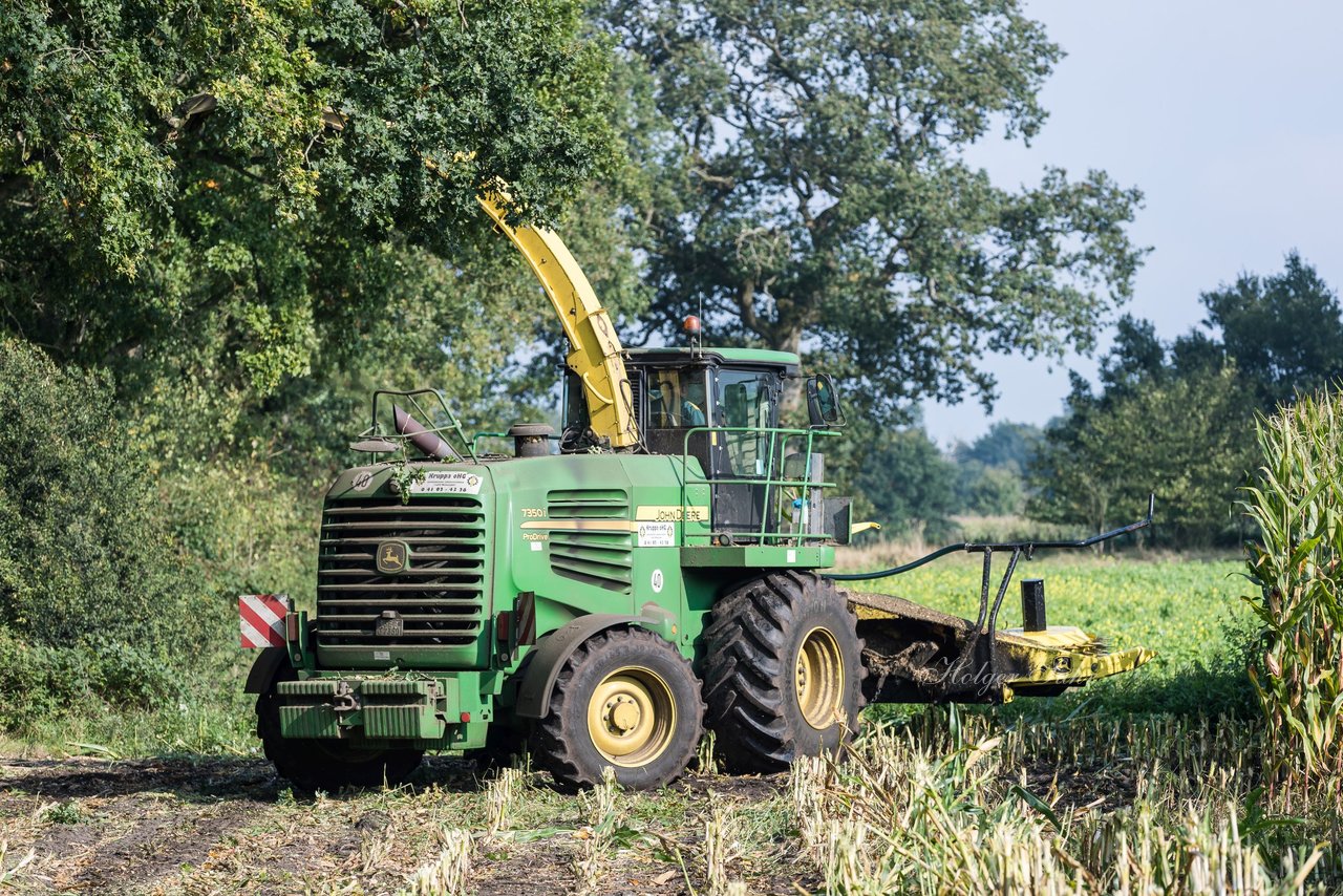 Bild 205 - Maisernte